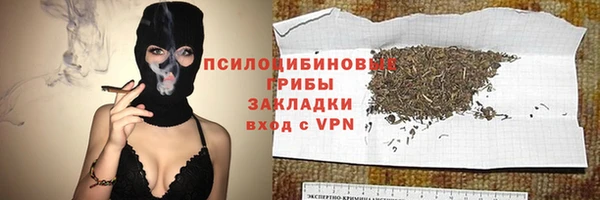 соль ск Надым