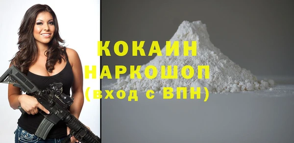 соль ск Надым