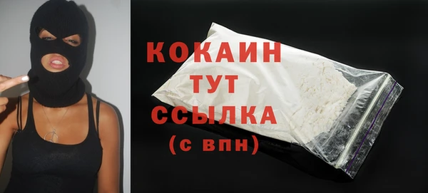 соль ск Надым