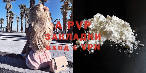 соль ск Надым