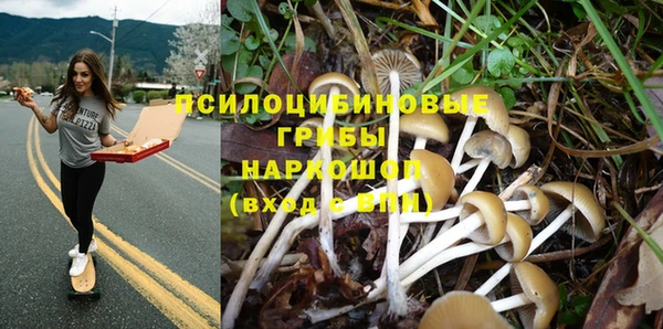 гашик Навашино