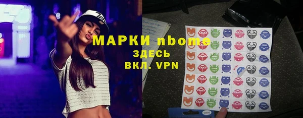 винт Анива