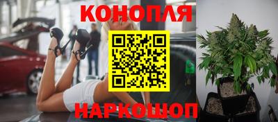 герыч Малгобек