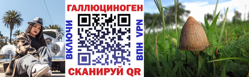 Галлюциногенные грибы MAGIC MUSHROOMS  купить наркотик  Нижневартовск 