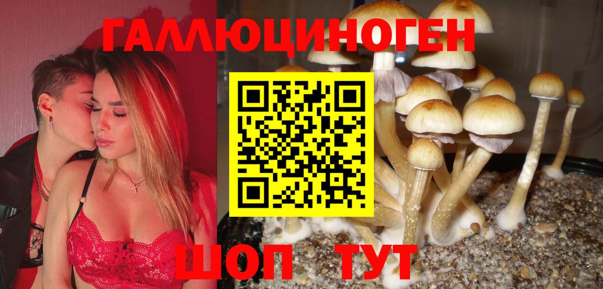 Псилоцибиновые грибы Psilocybe Нижневартовск