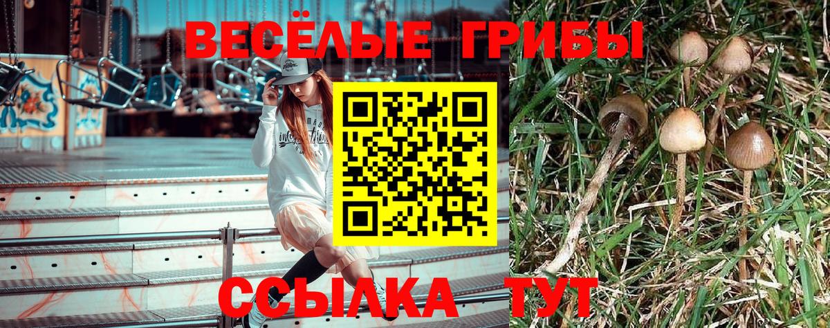 Нижневартовск  Галлюциногенные грибы Magic Shrooms  Вход с VPN  Псилоцибиновые грибы Psilocybe 