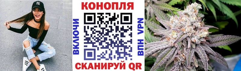 Бошки Шишки OG Kush  как найти   Нижневартовск 